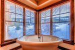 Enjoy the views while taking a deep soaking bath